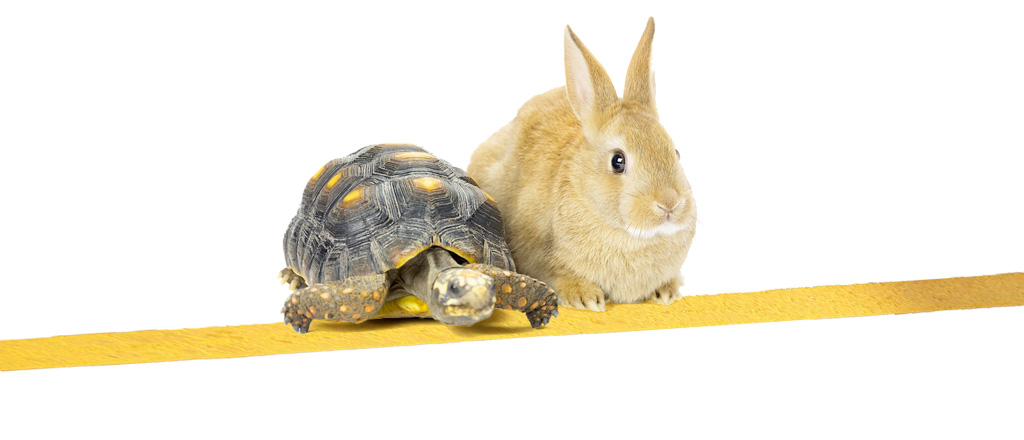 Tortoise-and-hare